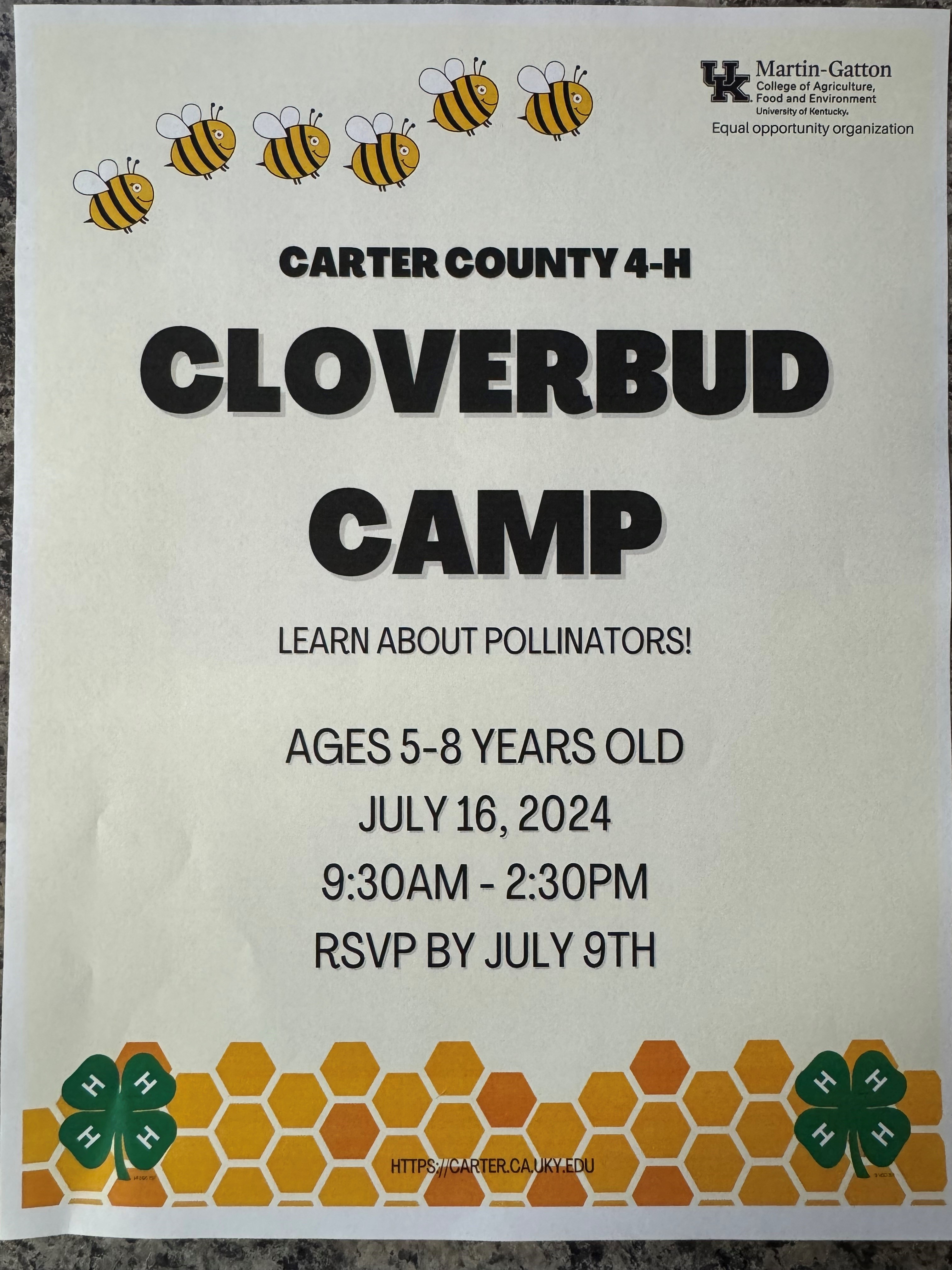 cloverbud camp 