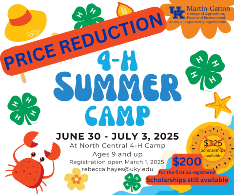 4-H Summer Camp